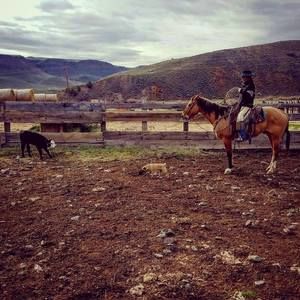 Meet your Posher, Sara